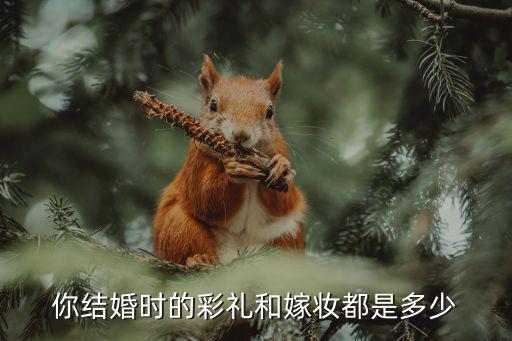 江蘇阜寧的嫁妝多少錢,你家鄉的嫁妝要多少