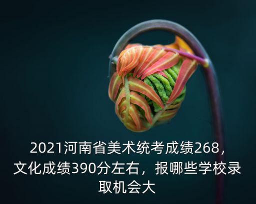 2021河南省美術(shù)統(tǒng)考成績268，文化成績390分左右，報(bào)哪些學(xué)校錄取機(jī)會(huì)大