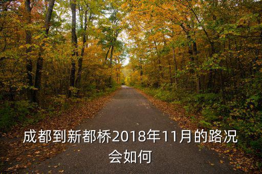 成都到新都橋2018年11月的路況會(huì)如何