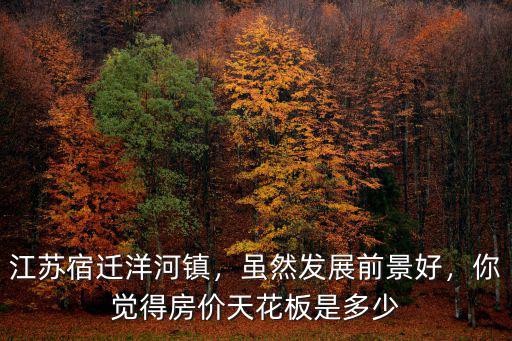 宿遷洋河房價首付多少,江蘇宿遷洋河鎮