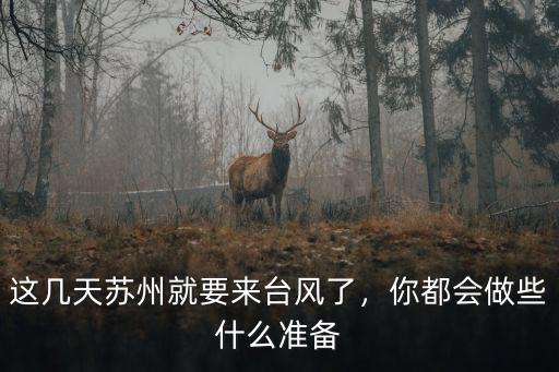 這幾天蘇州就要來臺風了，你都會做些什么準備