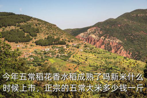 江蘇五常香米多少錢,今年五常稻花香水稻成熟了嗎