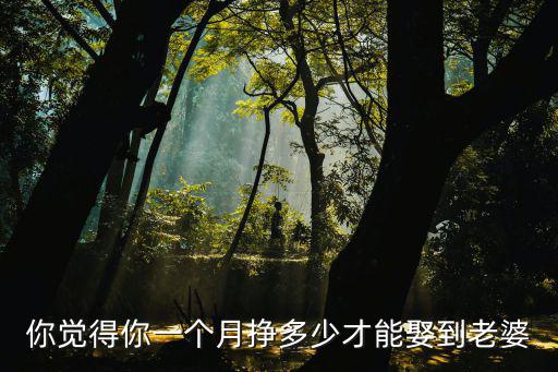 你覺(jué)得你一個(gè)月掙多少才能娶到老婆