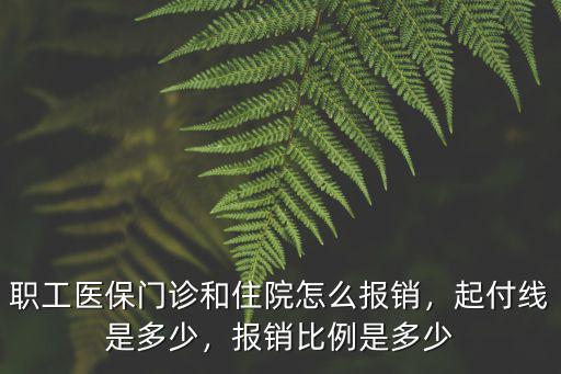 淮安市職工醫(yī)保門診報(bào)銷多少,職工醫(yī)保門診和住院怎么報(bào)銷