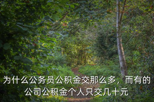 南通公務員公積金交多少錢,江蘇公務員一年收入多少錢