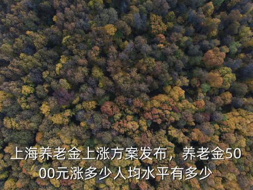 泰州養老金上漲規定是多少,養老金5000元漲多少