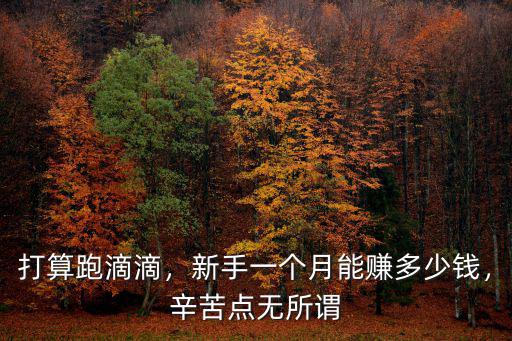 蘇州跑電動網(wǎng)約車一個月能拿多少,跑滴滴一個月能賺多少