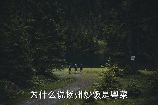 揚州炒飯多少一碗,揚州炒飯怎么做