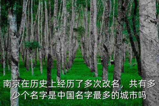 南京有多少名胡志寶,共有多少個名字