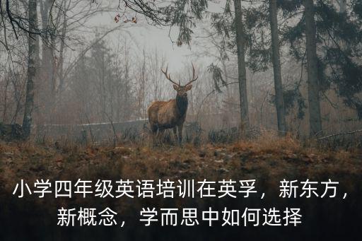 小學四年級英語培訓在英孚，新東方，新概念，學而思中如何選擇