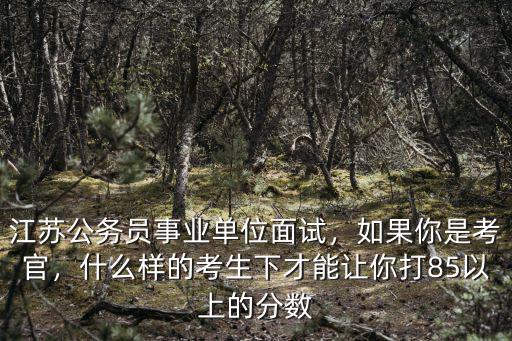 江蘇公務員正常面試能拿多少分,公務員面試一般能得多少分