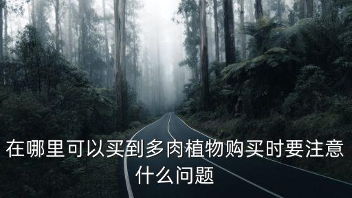 在哪里可以買到多肉植物購買時要注意什么問題