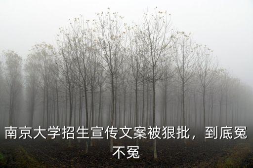 南京大學招生宣傳文案被狠批，到底冤不冤