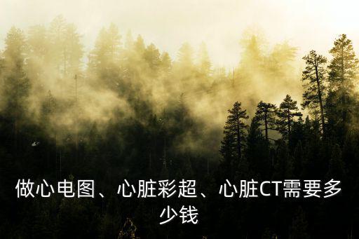 南京心臟彩超多少錢一次,胎兒心臟彩超多少錢
