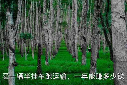 揚(yáng)州轎車運(yùn)輸掛車多少錢,一年能賺多少錢