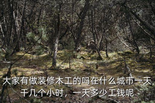 大家有做裝修木工的嗎在什么城市一天干幾個(gè)小時(shí)，一天多少工錢呢