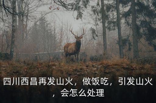 四川西昌再發山火，做飯吃，引發山火，會怎么處理