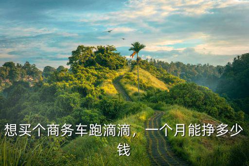 想買個商務車跑滴滴，一個月能掙多少錢