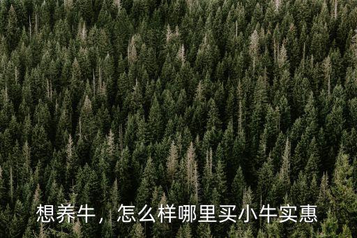 想養牛，怎么樣哪里買小牛實惠