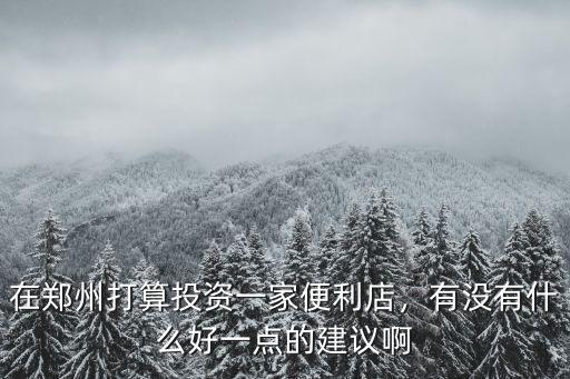 在鄭州打算投資一家便利店，有沒有什么好一點(diǎn)的建議啊
