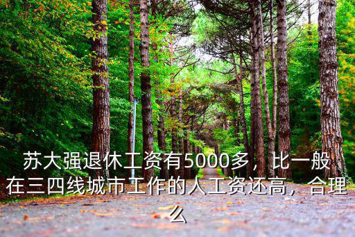 蘇大強(qiáng)退休工資有5000多，比一般在三四線城市工作的人工資還高，合理么