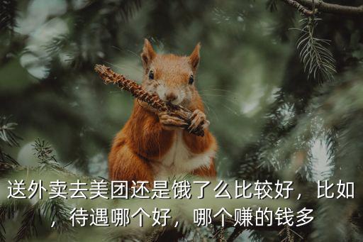 送外賣去美團(tuán)還是餓了么比較好，比如，待遇哪個(gè)好，哪個(gè)賺的錢多