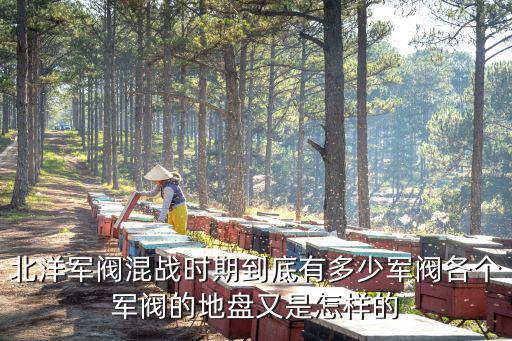 北洋軍閥占領南京有多少,到底有多少軍閥