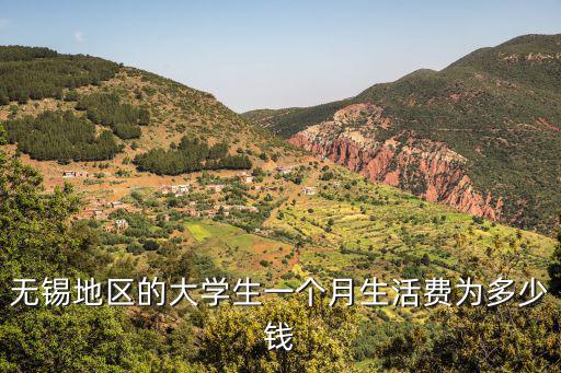 江蘇江南大學生生活費多少,大學生一個月生活費多少合適