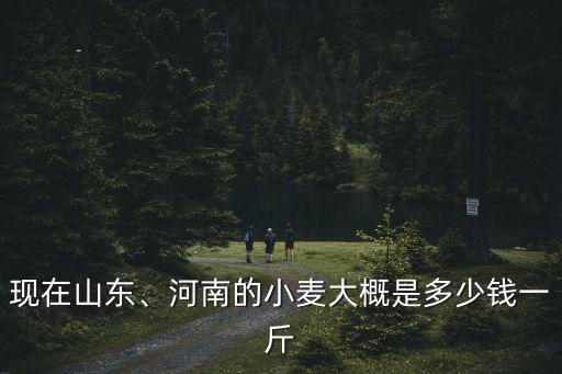 新鄉現在的小麥價格多少錢一斤,小麥價格現在多少錢一斤