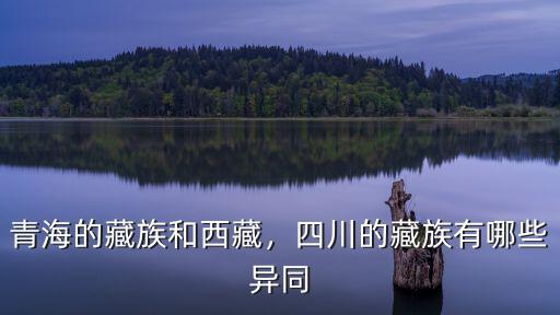 四川藏族從哪里來(lái),四川的藏族有哪些異同