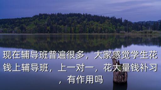 現在輔導班普遍很多，大家感覺學生花錢上輔導班，上一對一，花大量錢補習，有作用嗎