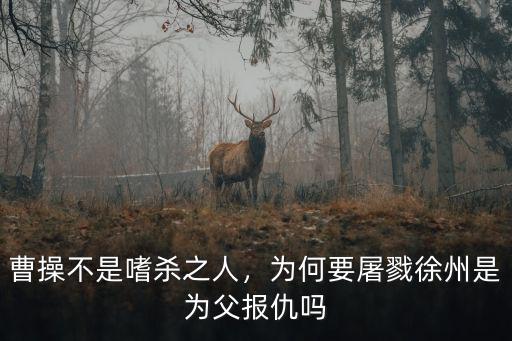 曹操殺了徐州多少人,曹操的兩次屠城殺死了多少人