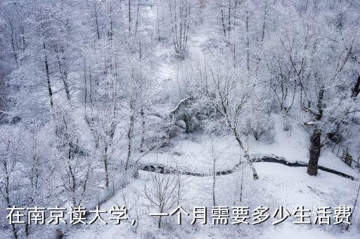 在南京讀大學，一個月需要多少生活費