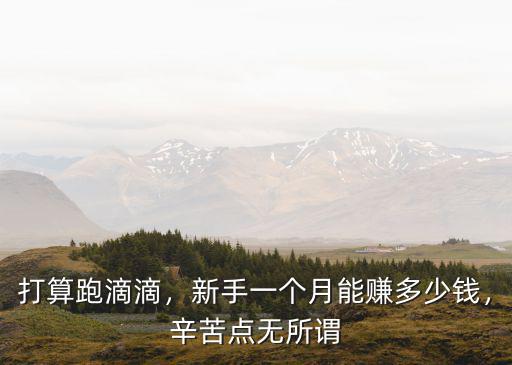 打算跑滴滴，新手一個月能賺多少錢，辛苦點無所謂