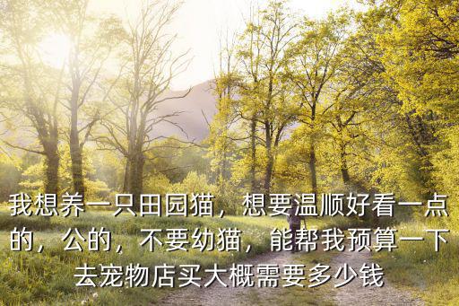 鹽城寵物店貓一般多少錢一只,我想養(yǎng)一只田園貓