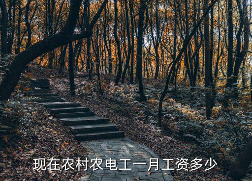 江蘇農村年收入多少,現在農村農電工一月工資多少