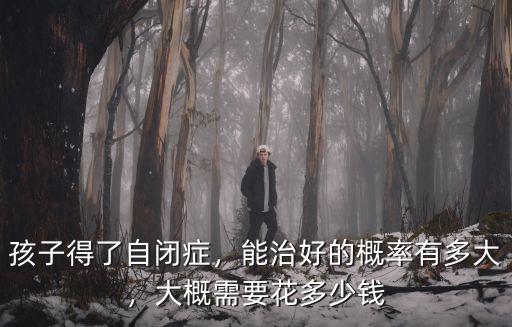 孩子得了自閉癥，能治好的概率有多大，大概需要花多少錢