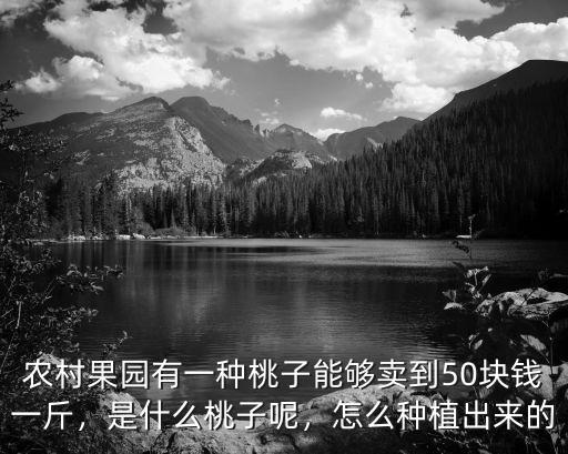 開封桃子多少錢一斤,現在的桃子多少錢一斤