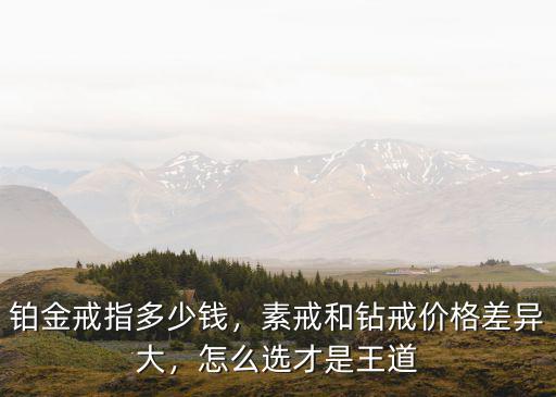 江蘇鉑金鉆石戒指多少錢,鉑金戒指大概多少錢