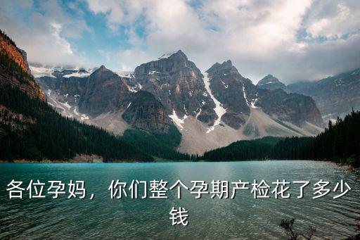 各位孕媽，你們整個孕期產檢花了多少錢