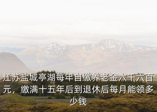 江蘇鹽城亭湖每年自繳養(yǎng)老金六千六百元，繳滿十五年后到退休后每月能領(lǐng)多少錢