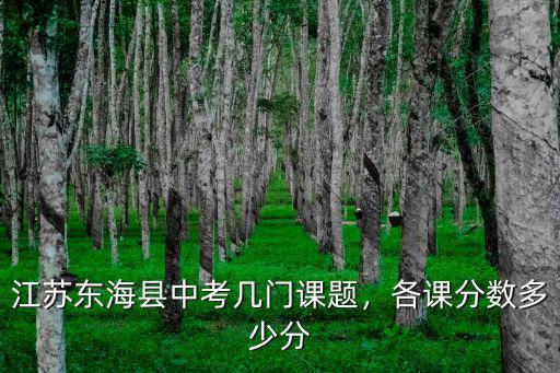 江蘇省連云港中考考哪幾門 各多少分,各課分數多少分