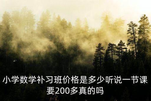 小學數學補習班價格是多少聽說一節課要200多真的嗎