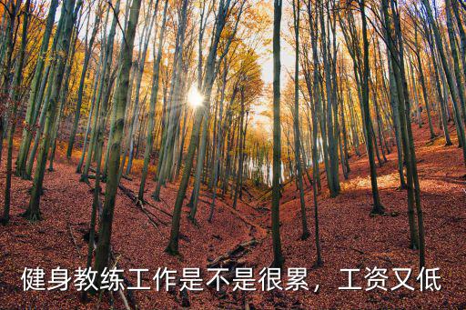 淮安市健身教練的工資多少,健身教練的收入怎么樣