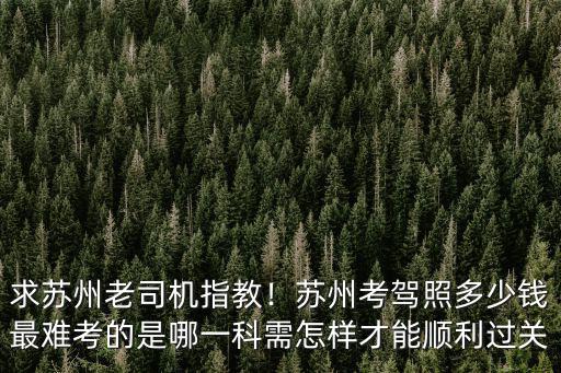 求蘇州老司機指教！蘇州考駕照多少錢最難考的是哪一科需怎樣才能順利過關