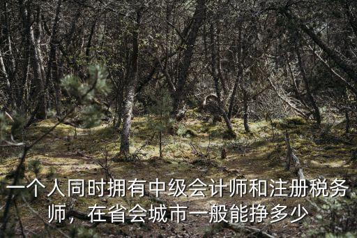 蘇州的稅務(wù)師一般工資多少錢(qián),在省會(huì)城市一般能掙多少