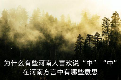 為什么有些河南人喜歡說“中”“中”在河南方言中有哪些意思