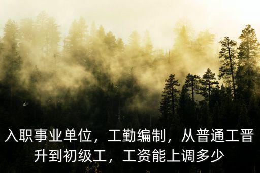 入職事業單位，工勤編制，從普通工晉升到初級工，工資能上調多少