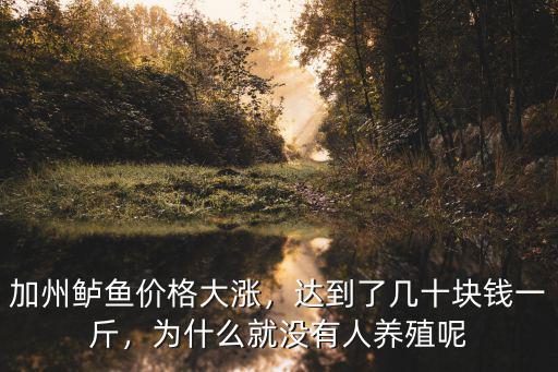 江蘇加州鱸多少錢一斤,達到了幾十塊錢一斤