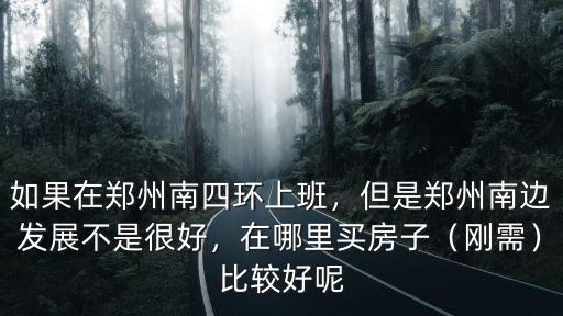鄭州哪里房子發展好,但是鄭州南邊發展不是很好